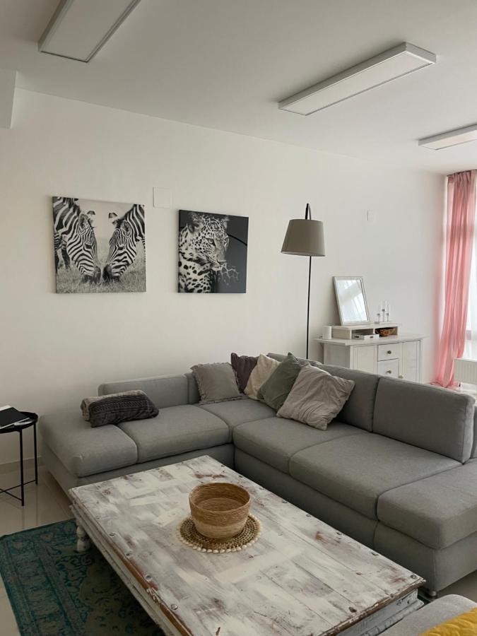 Stadtsuite Mit Sauna In Wiener Neustadt 135 M2 Eksteriør bilde