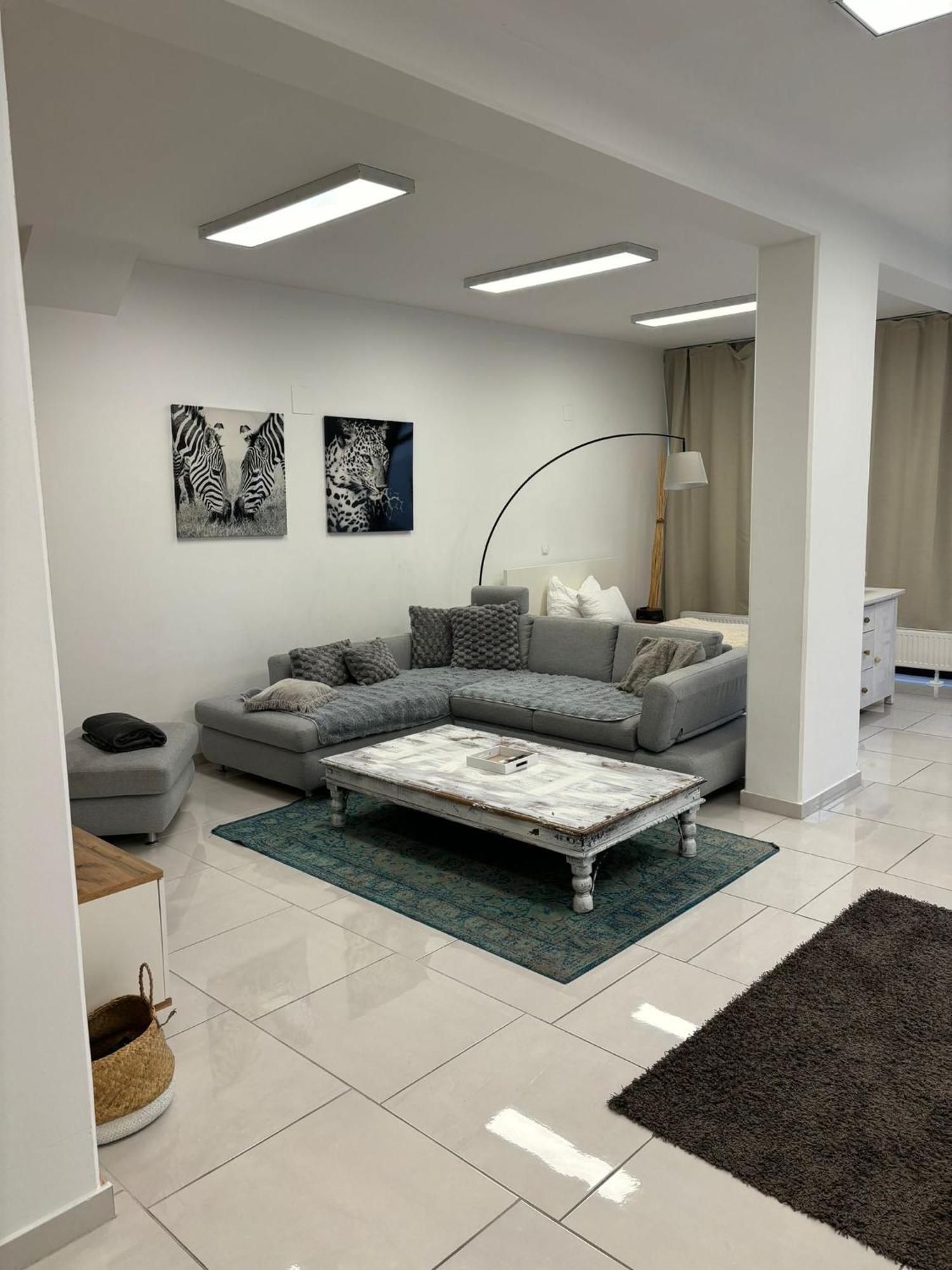 Stadtsuite Mit Sauna In Wiener Neustadt 135 M2 Eksteriør bilde